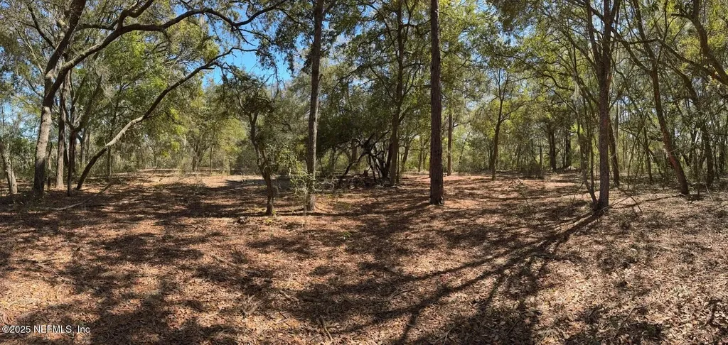 1481 State Road 20 Interlachen FL 32148
