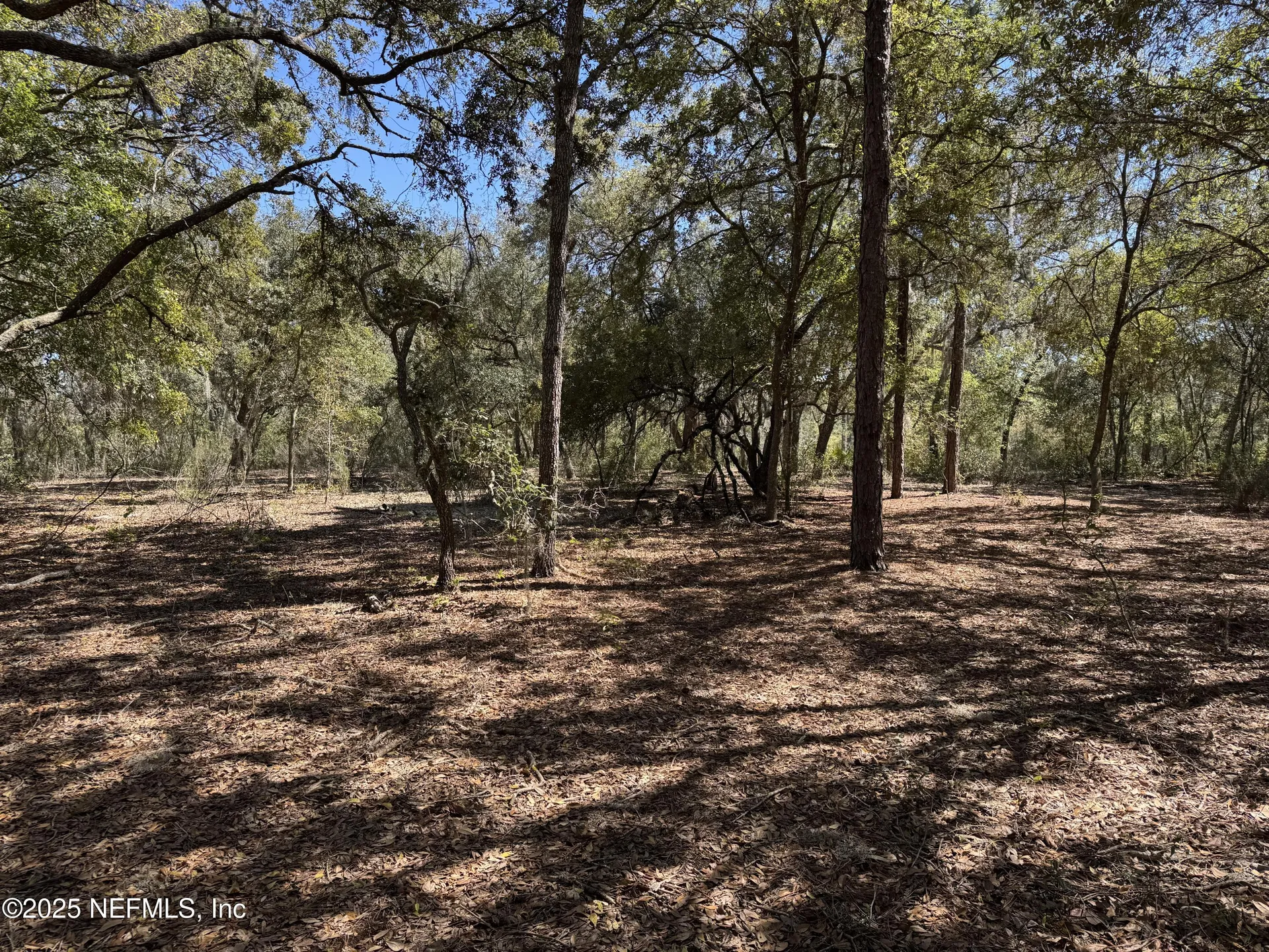 1481 State Road 20 Interlachen FL 32148