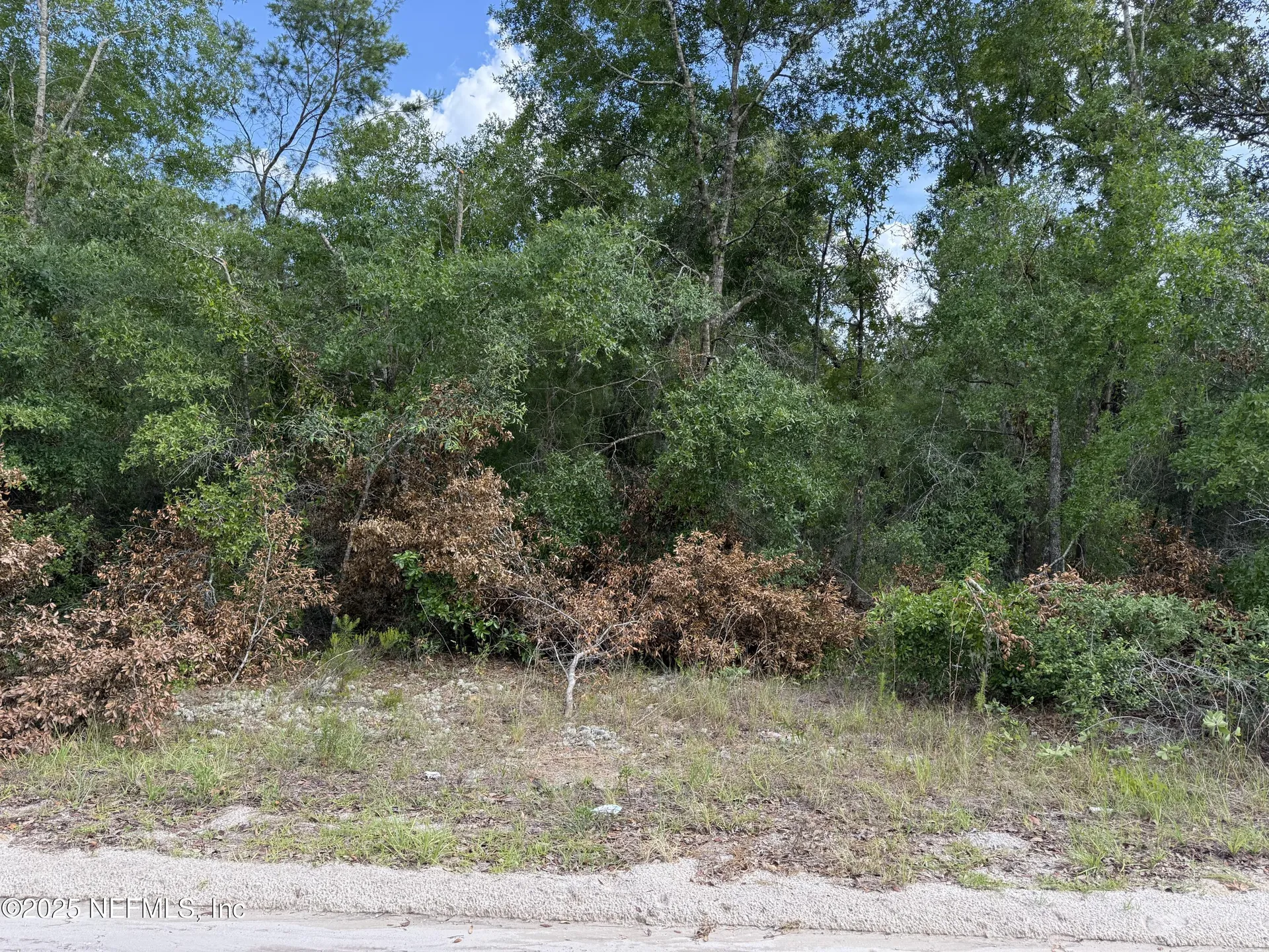 329 4th Way Interlachen FL 32148