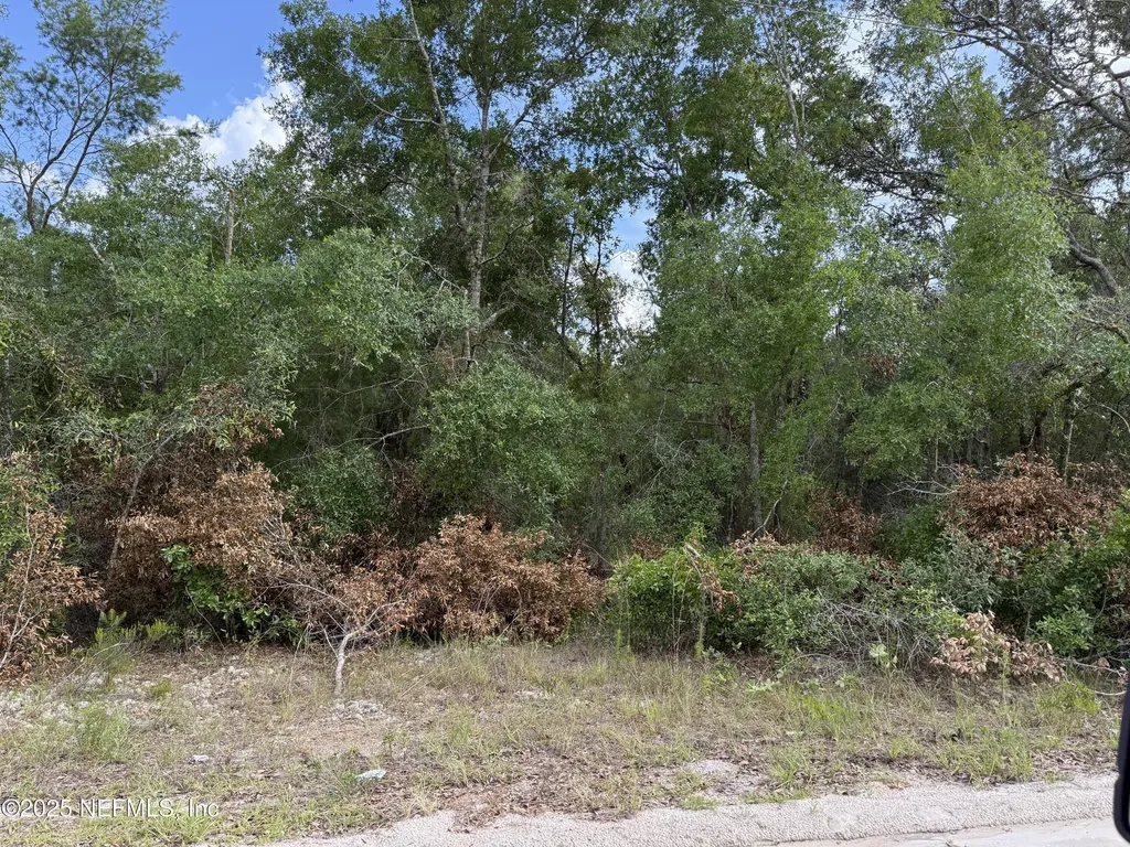 331 4th Way Interlachen FL 32148