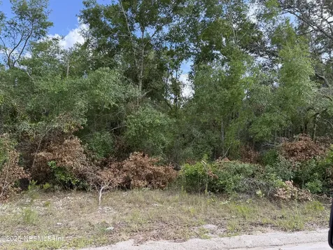 331 4th Way Interlachen FL 32148