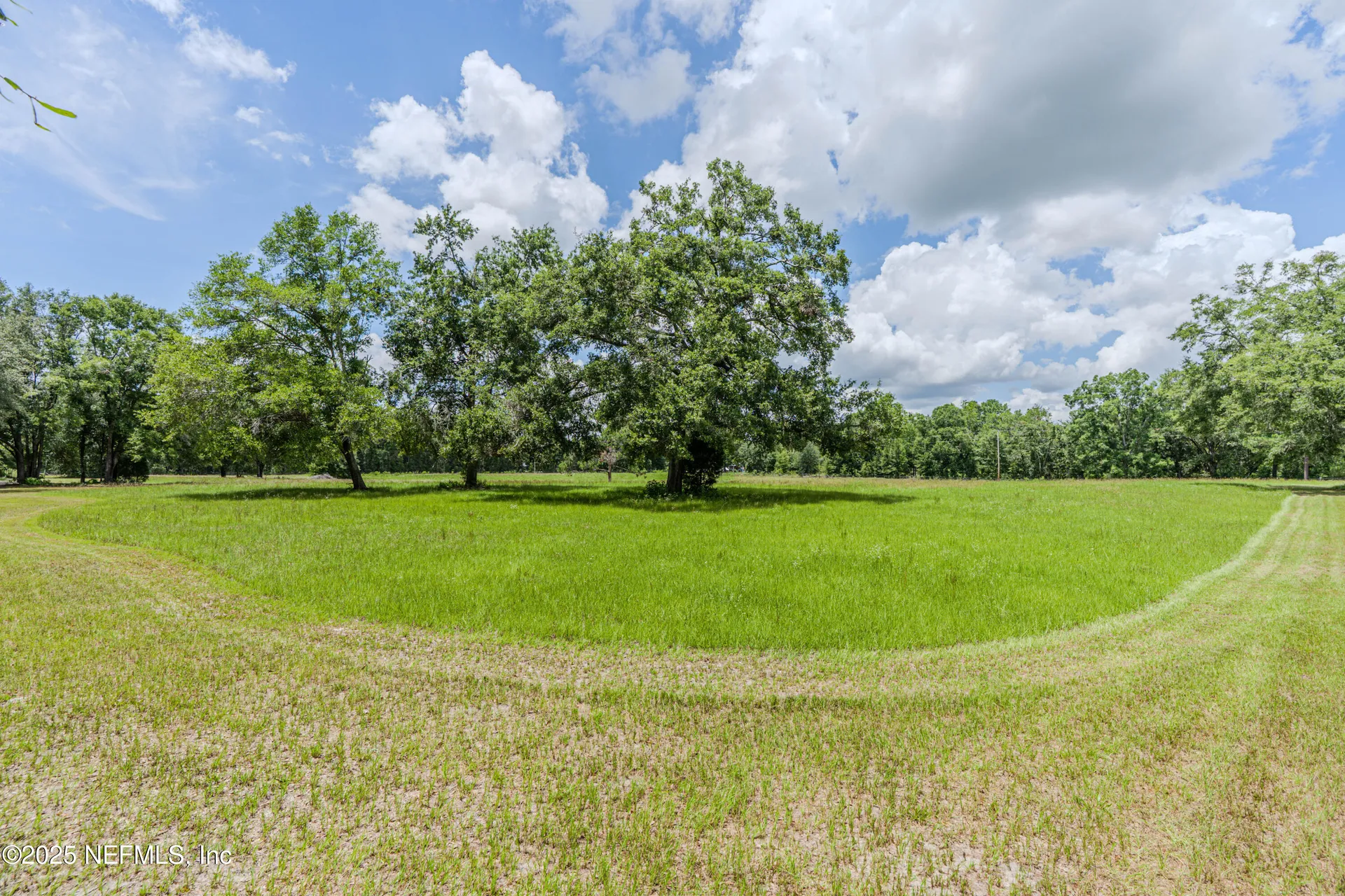 261 SW Beyond Court Lake City FL 32024
