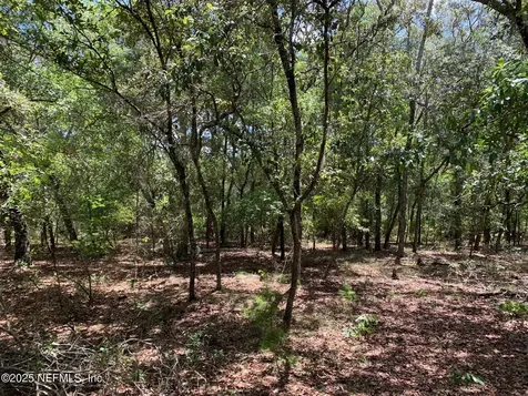 126 Pecan Avenue Interlachen FL 32148