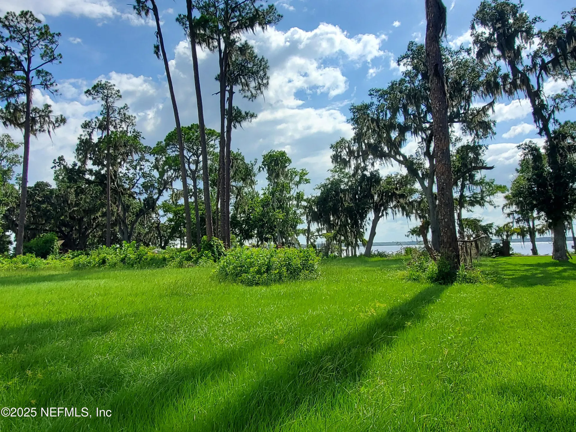 8421 Evelyn Court St. Augustine FL 32092