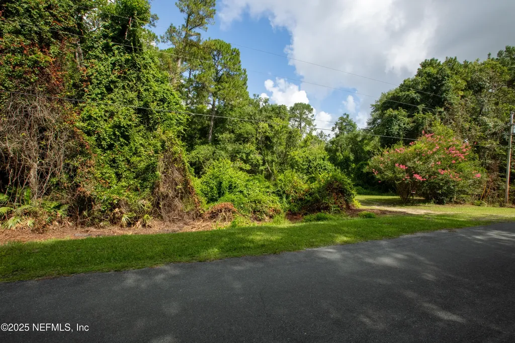 5165 Chicory Circle Middleburg FL 32068
