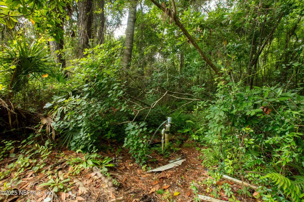 5165 Chicory Circle Middleburg FL 32068