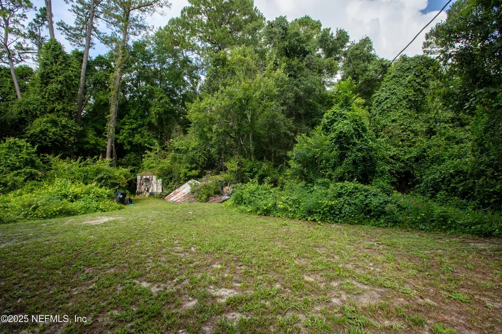 5165 Chicory Circle Middleburg FL 32068