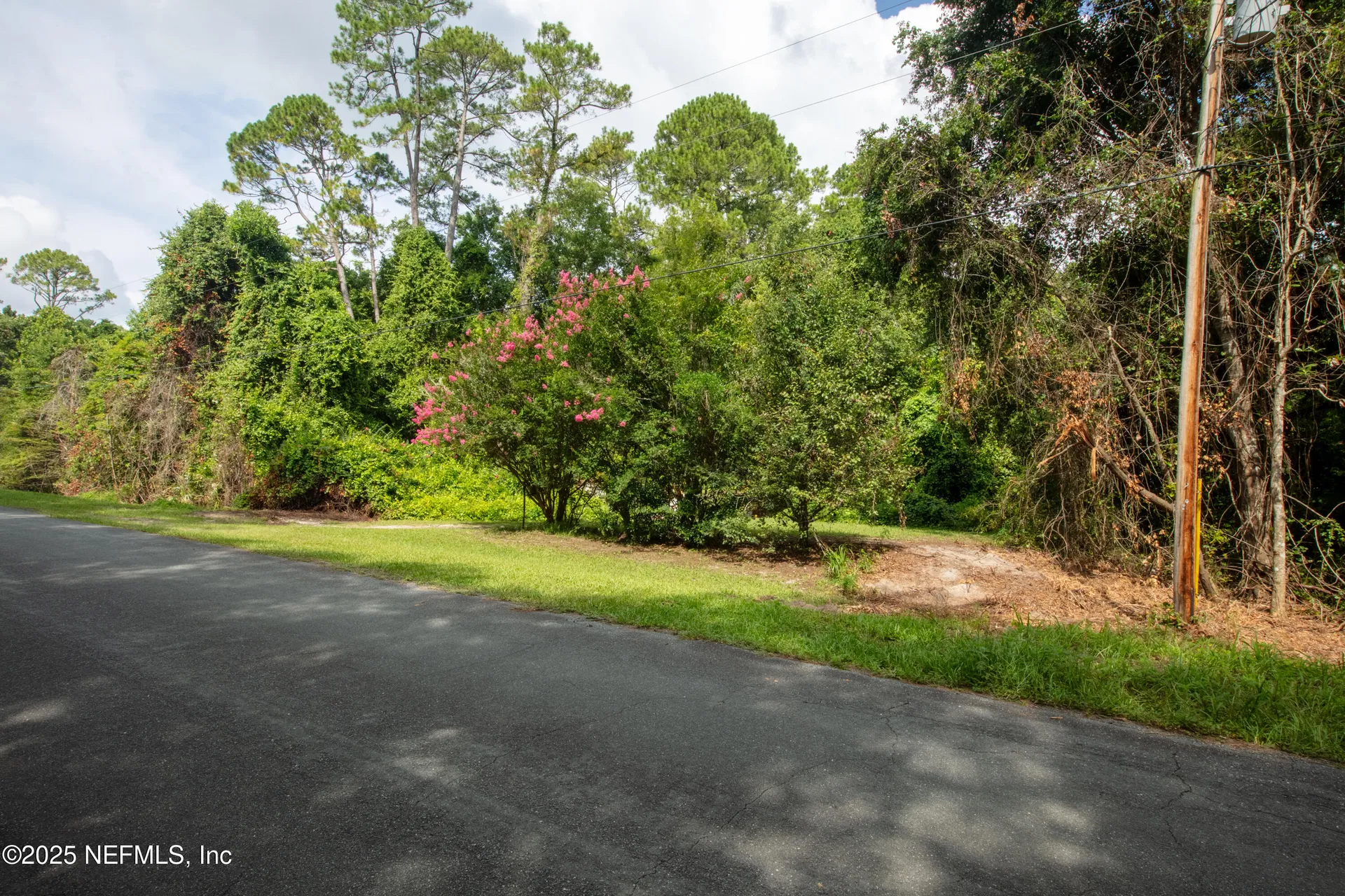 5165 Chicory Circle Middleburg FL 32068