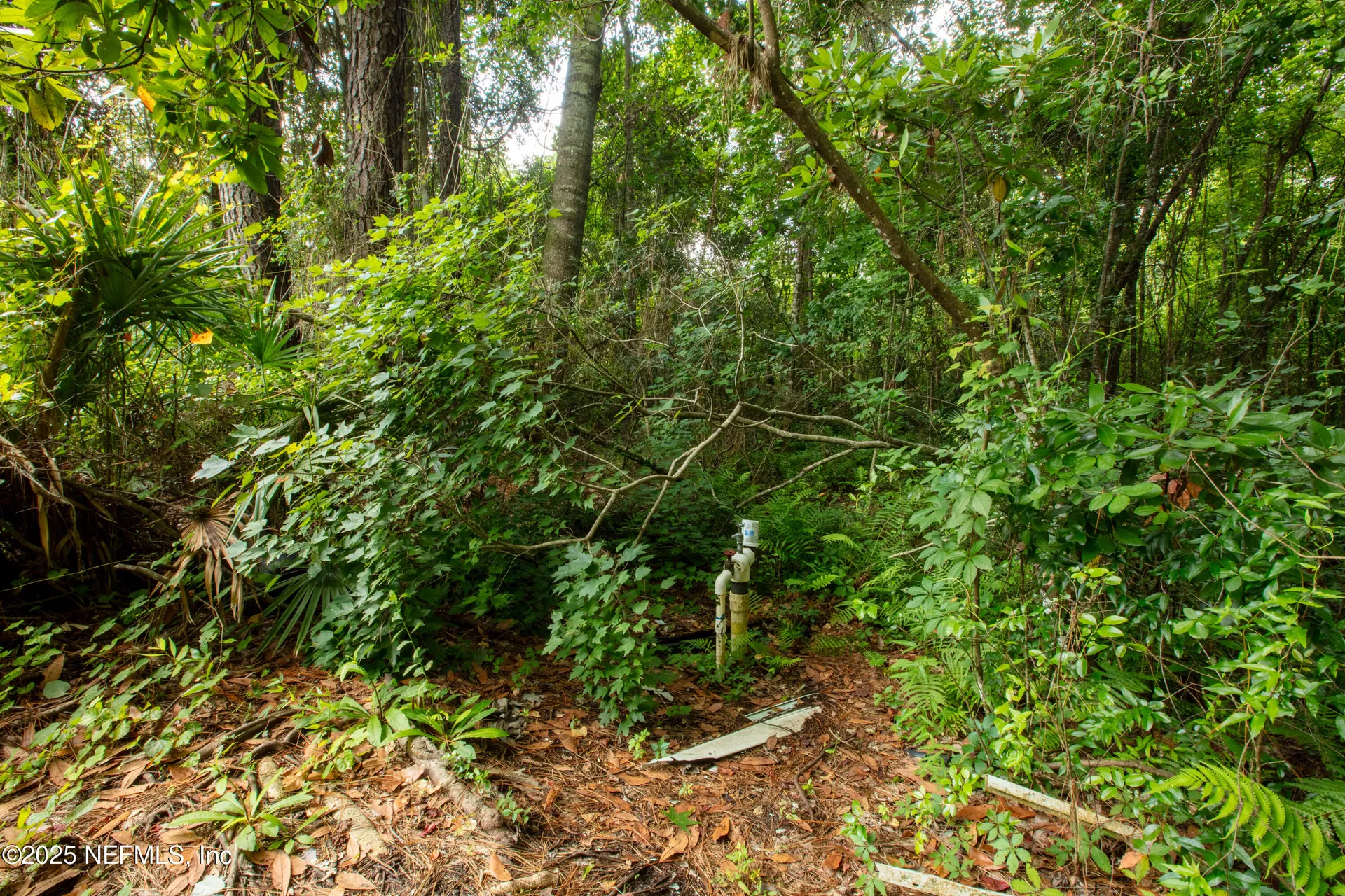 5165 Chicory Circle Middleburg FL 32068