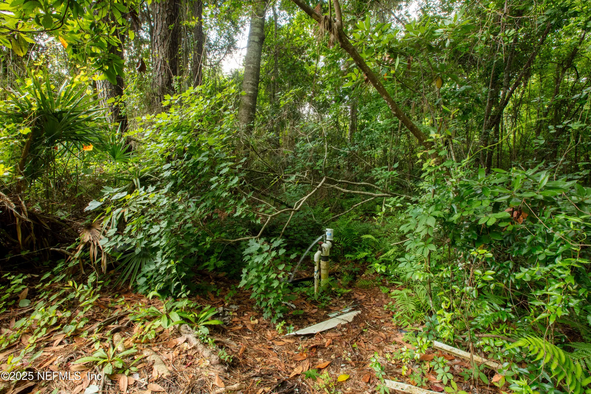 5165 Chicory Circle Middleburg FL 32068