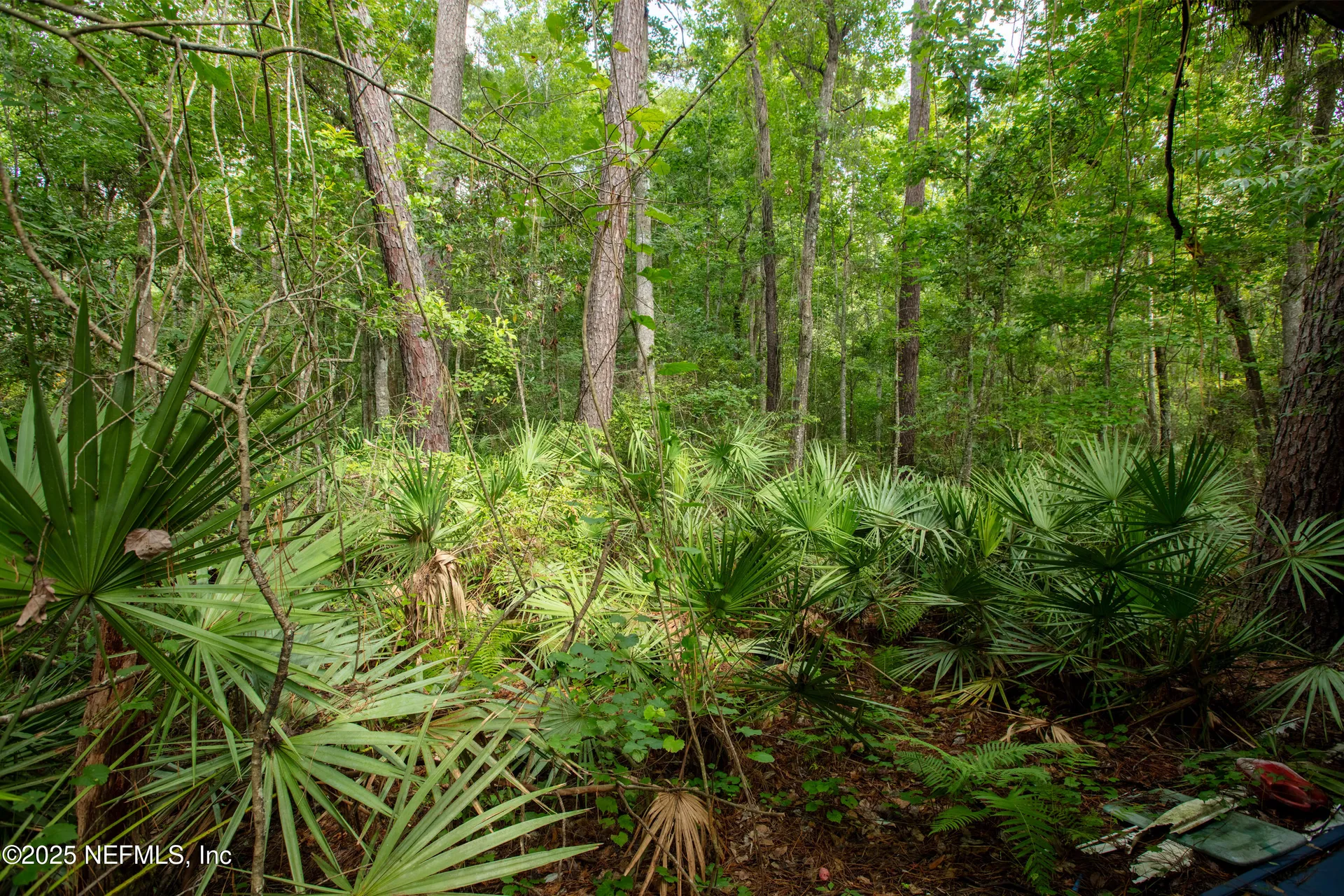 5165 Chicory Circle Middleburg FL 32068