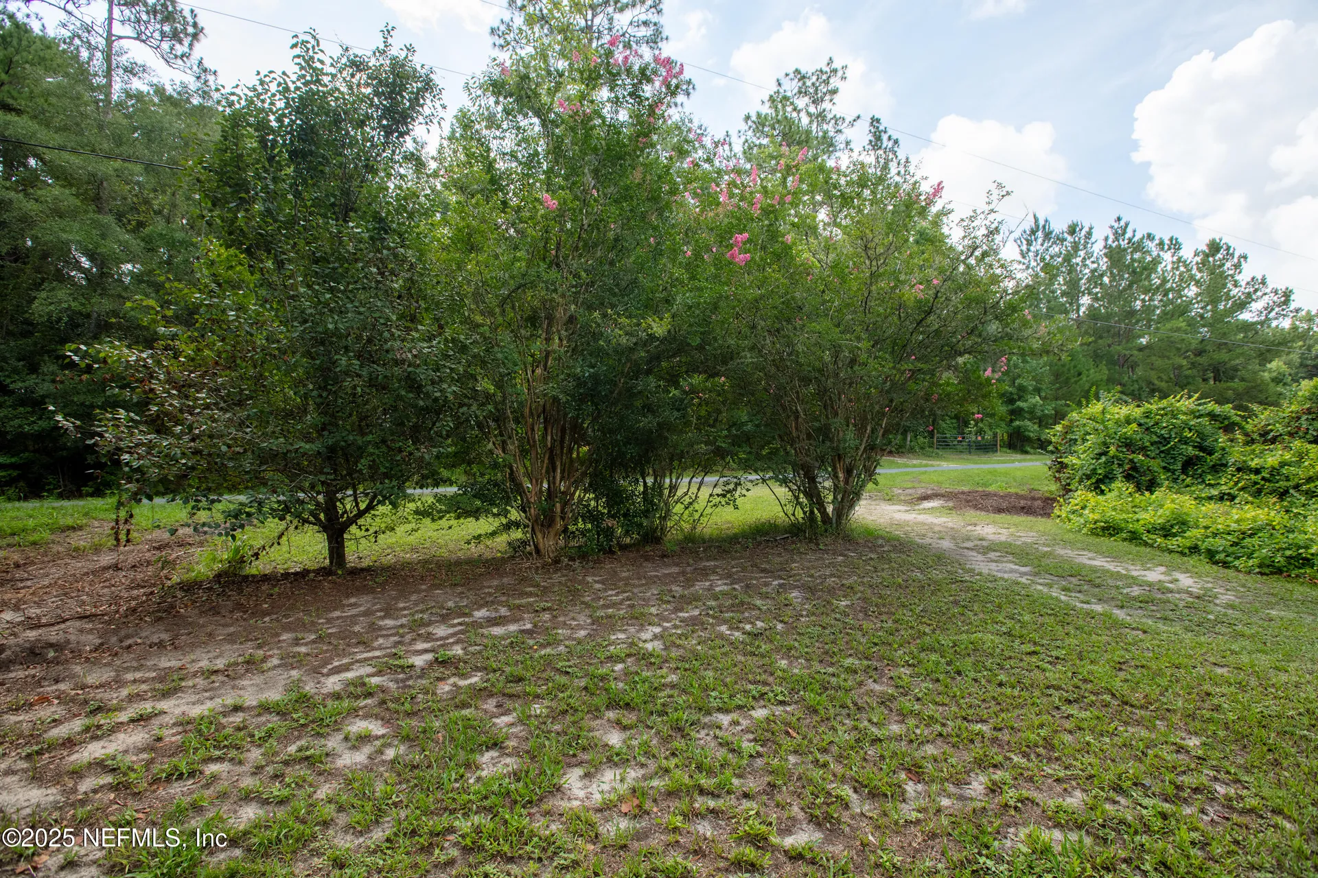 5165 Chicory Circle Middleburg FL 32068