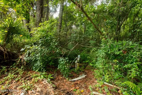 5165 Chicory Circle Middleburg FL 32068