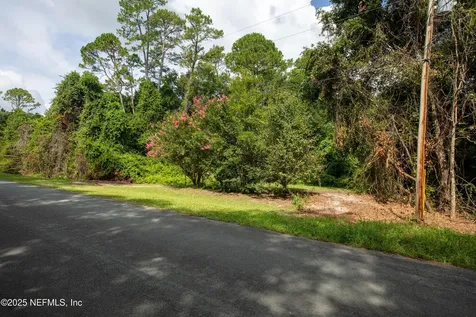 5165 Chicory Circle Middleburg FL 32068