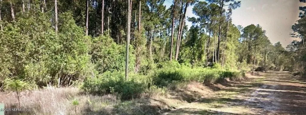 216 2nd Street Georgetown FL 32139