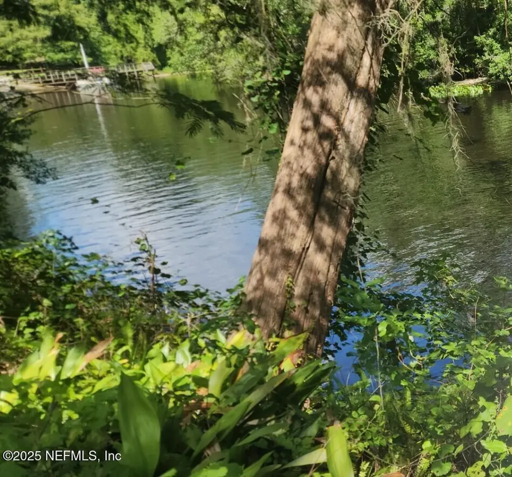 2326 North Street Middleburg FL 32068