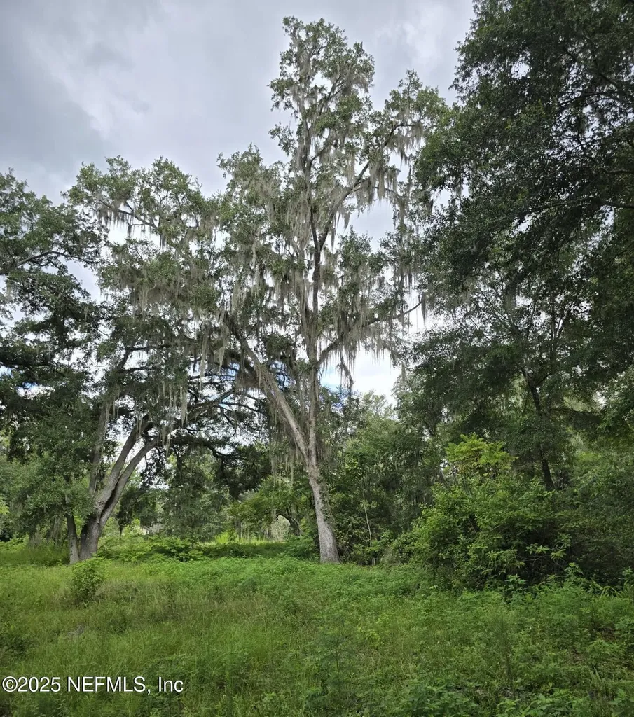 2326 North Street Middleburg FL 32068