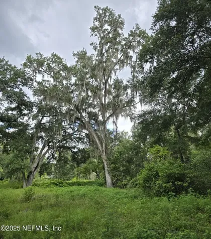 2326 North Street Middleburg FL 32068