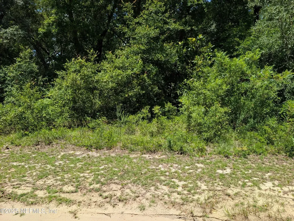 0-1550 Pine Road Interlachen FL 32148