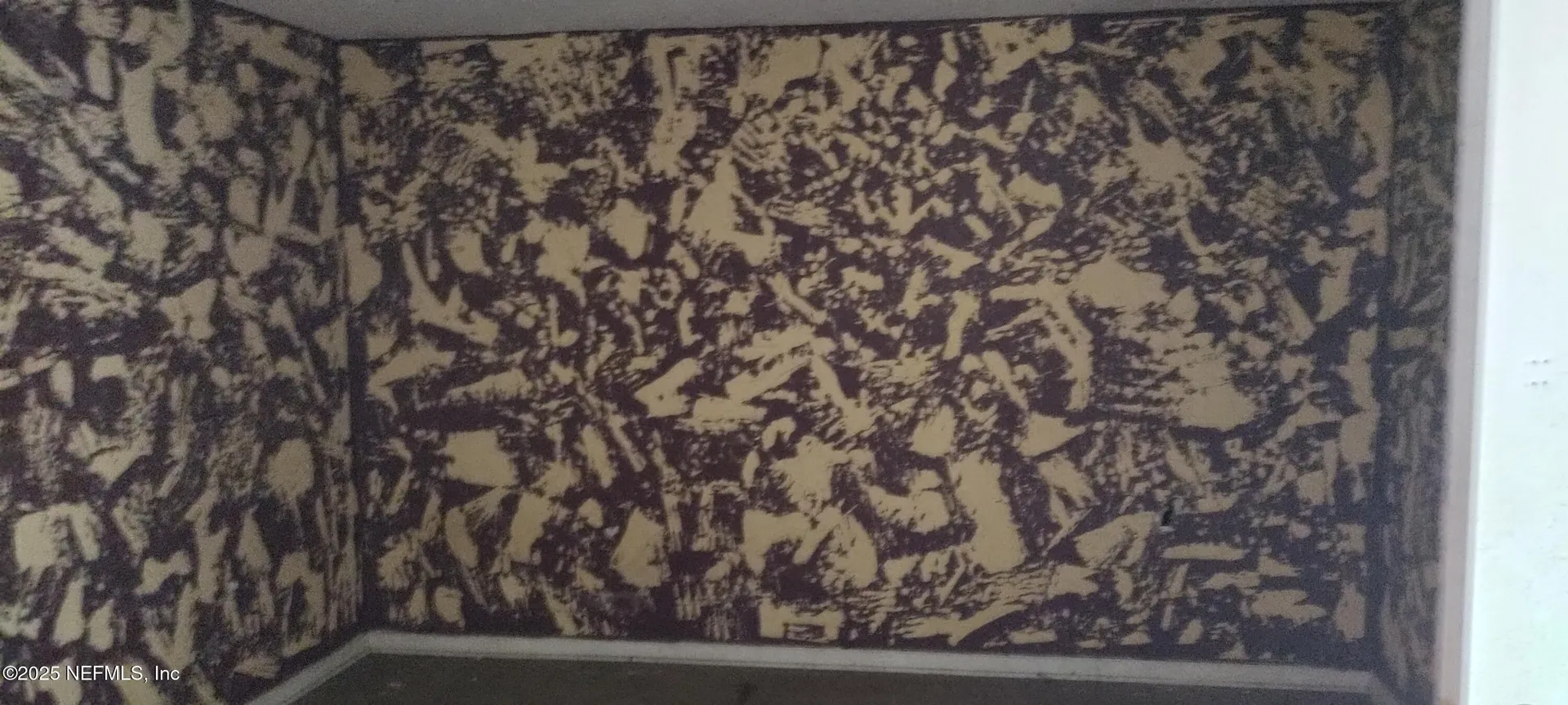 428 Vermont Avenue Green Cove Springs FL 32043