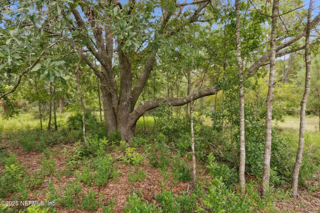 37334 Alice Street Hilliard FL 32046