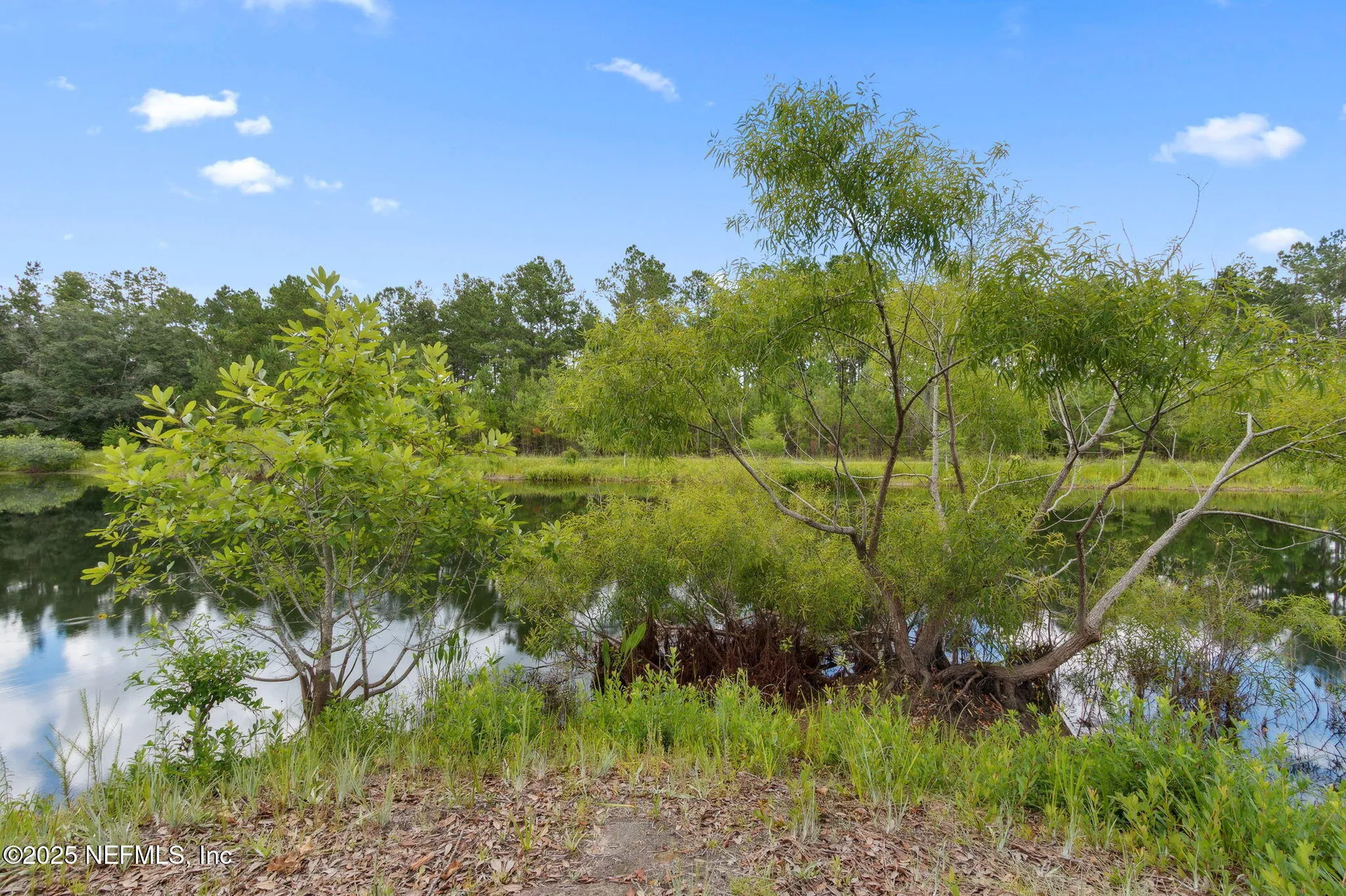 37334 Alice Street Hilliard FL 32046