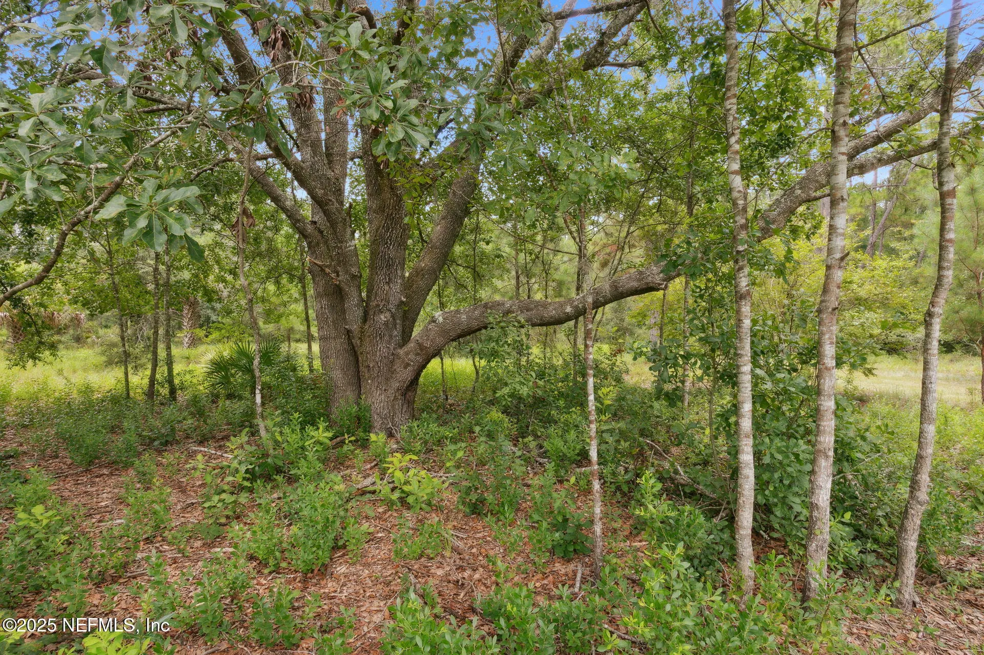 37334 Alice Street Hilliard FL 32046