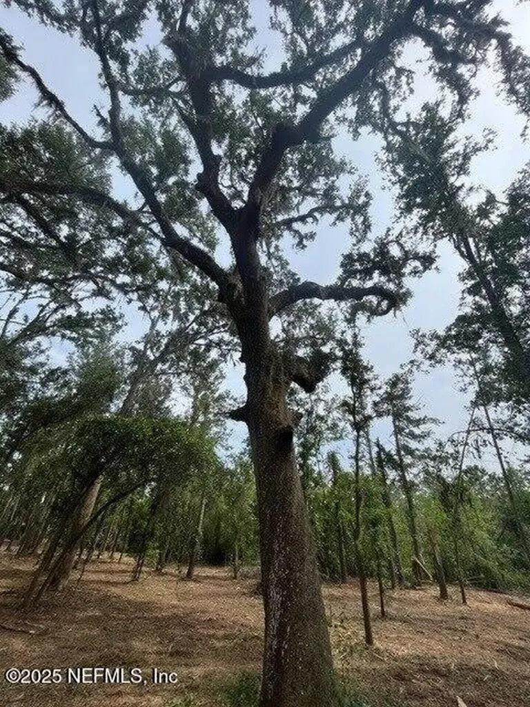 NW Us 41 Highway Jasper FL 32050
