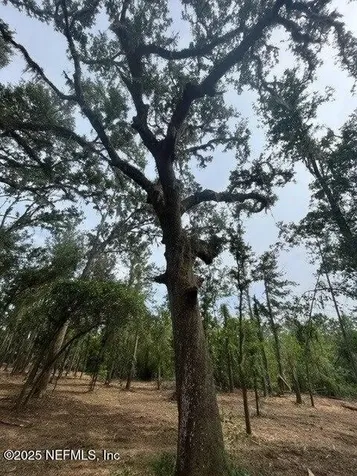 NW Us 41 Highway Jasper FL 32050
