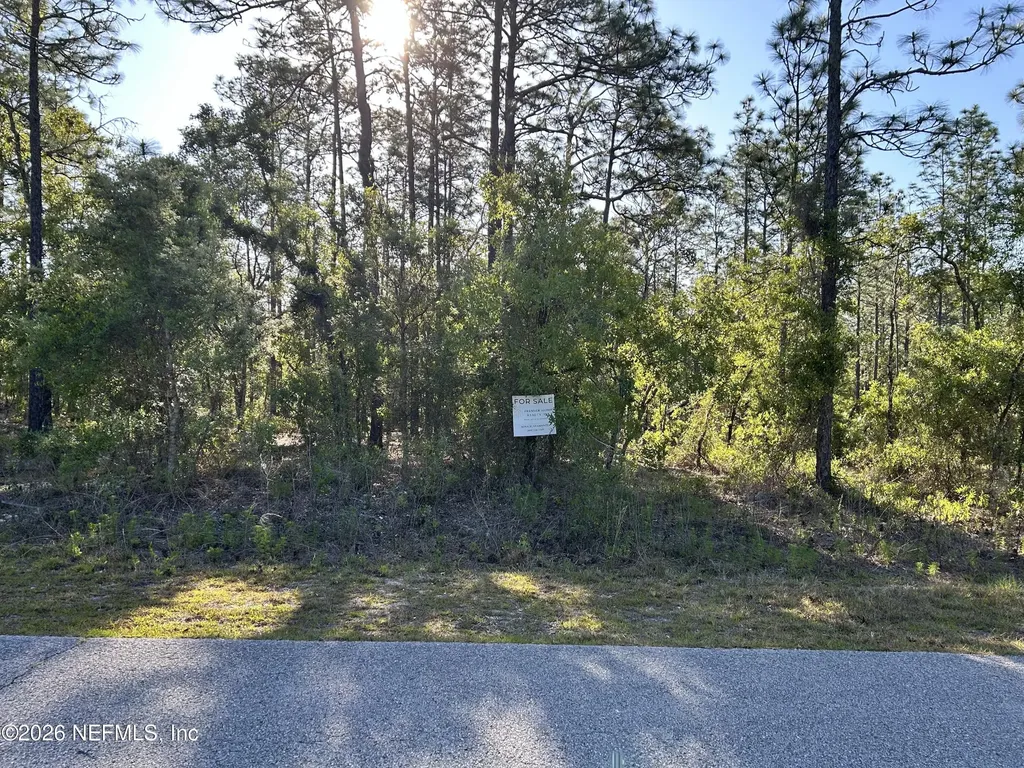 Lot 20 SW Buena Vista Road Dunnellon FL 34431