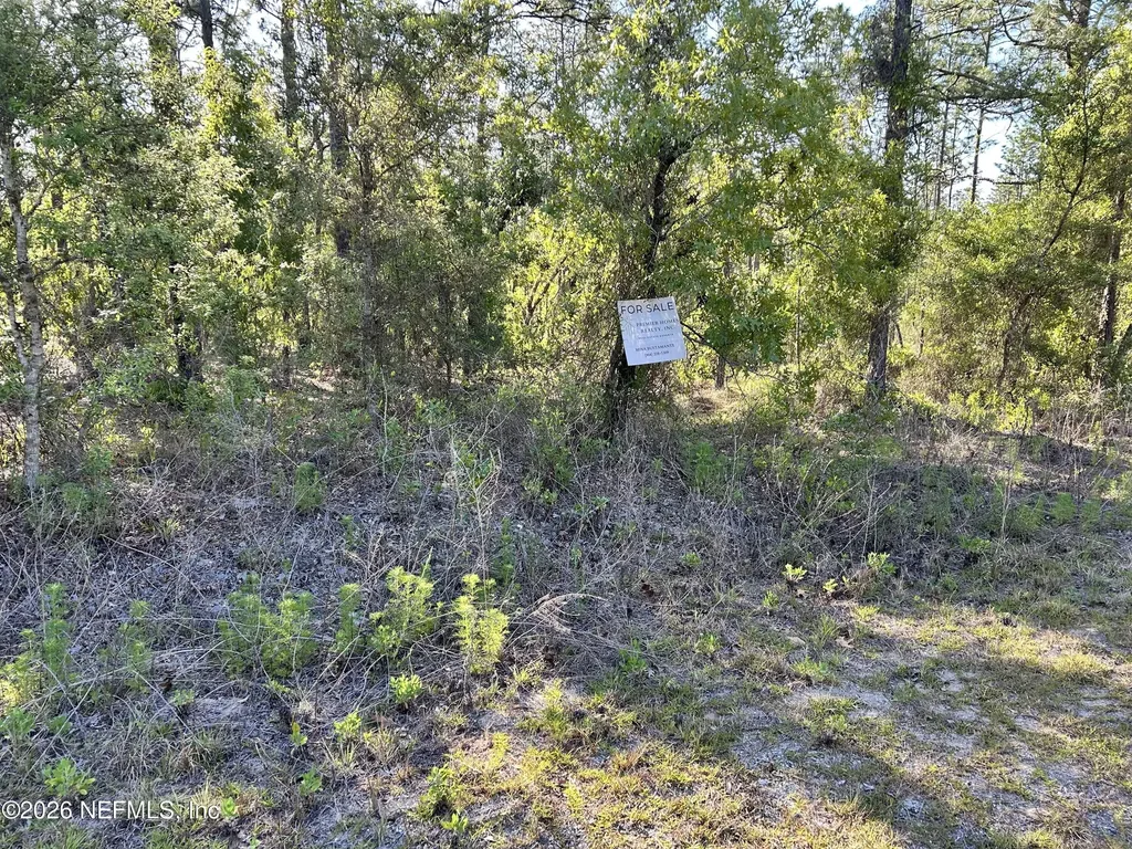 Lot 20 SW Buena Vista Road Dunnellon FL 34431