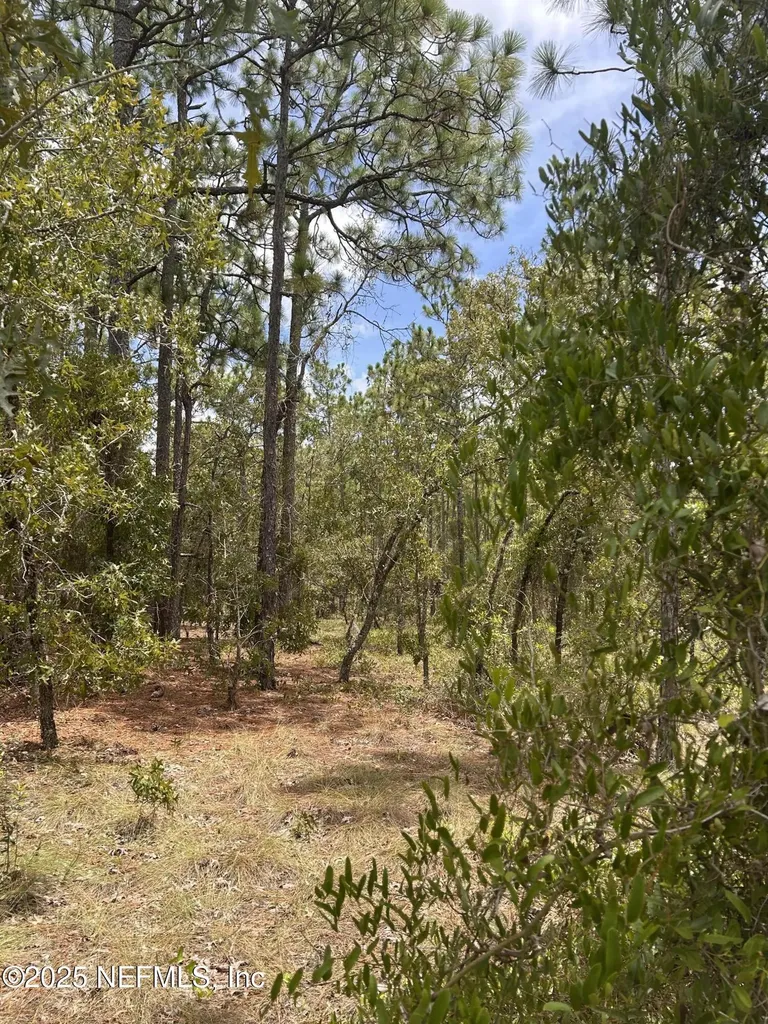 Lot 20 SW Buena Vista Road Dunnellon FL 34431