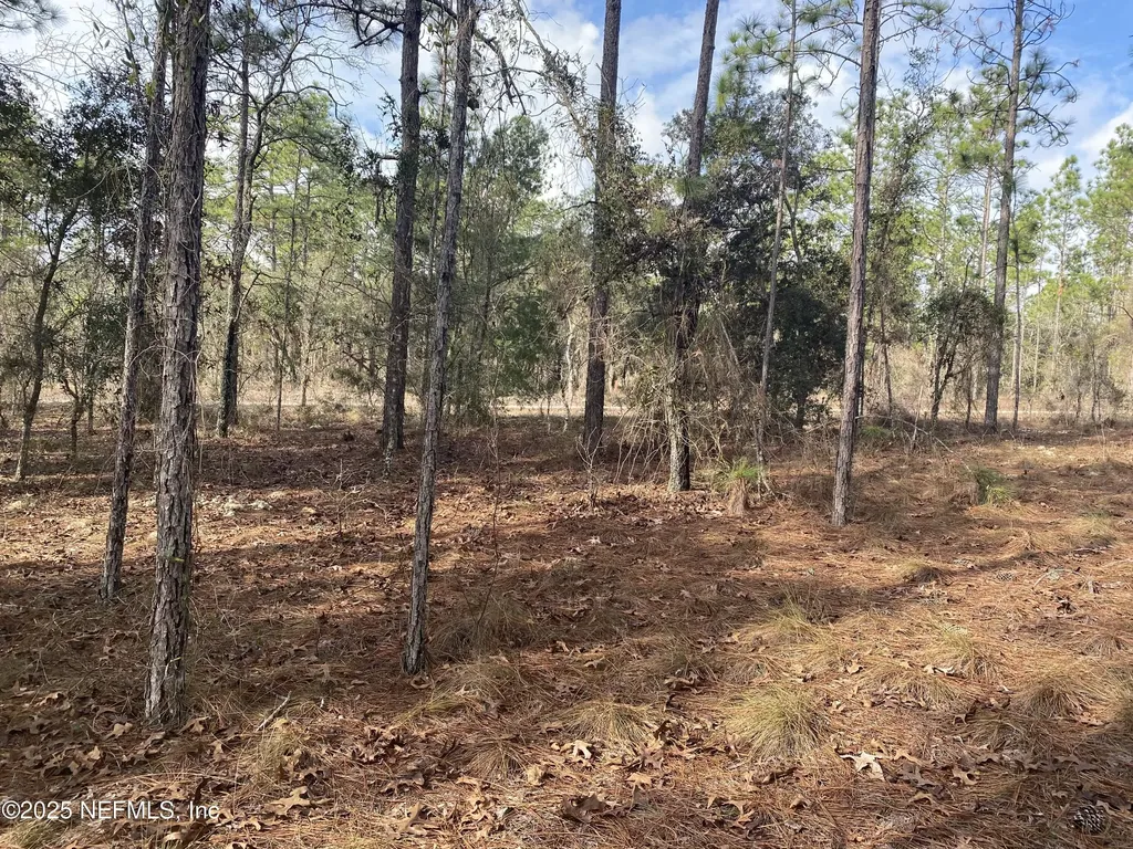 Lot 20 SW Buena Vista Road Dunnellon FL 34431