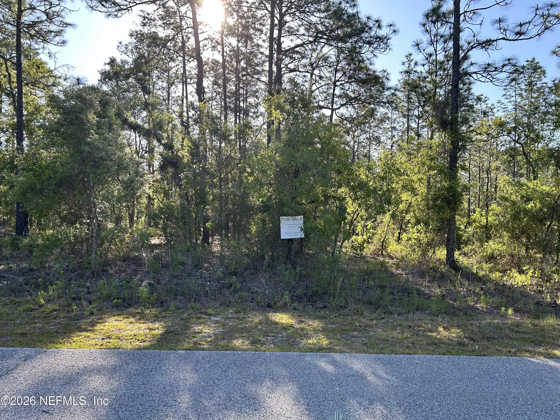 Lot 20 SW Buena Vista Road Dunnellon FL 34431