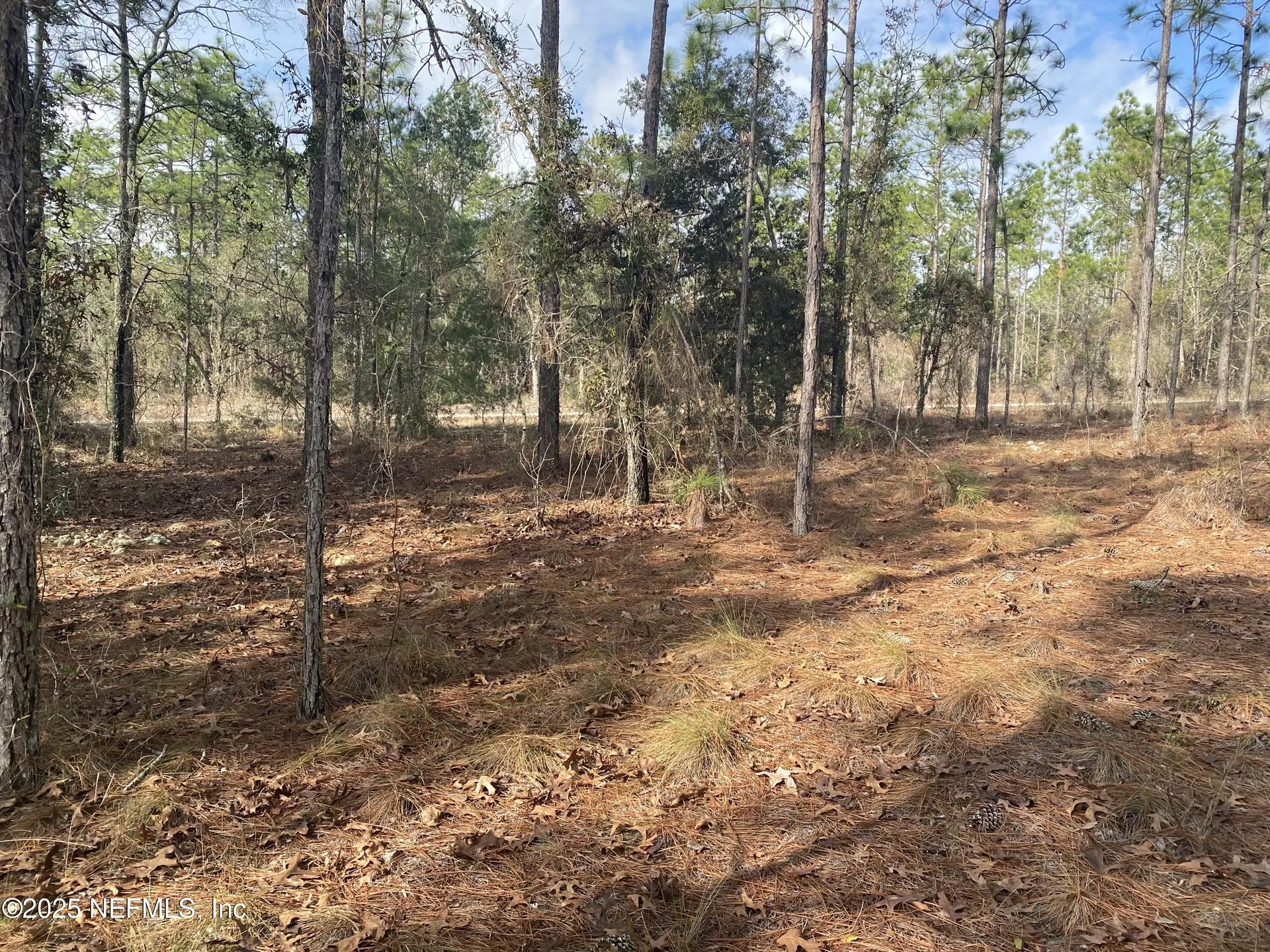 Lot 20 SW Buena Vista Road Dunnellon FL 34431