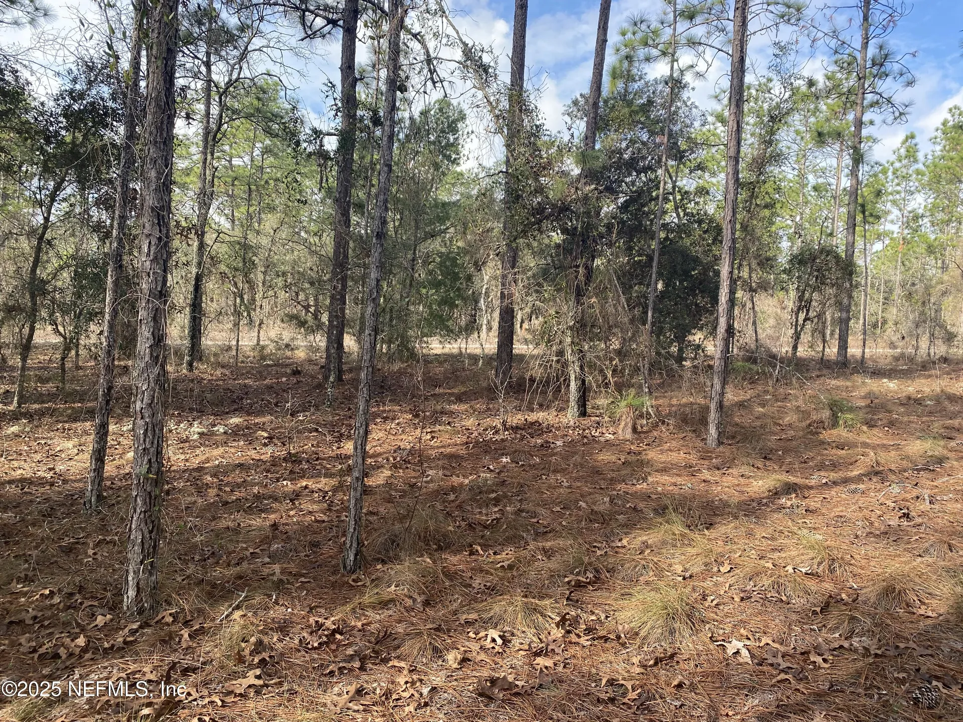 Lot 20 SW Buena Vista Road Dunnellon FL 34431