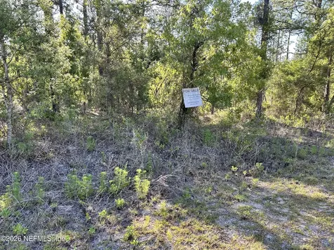 Lot 20 SW Buena Vista Road Dunnellon FL 34431
