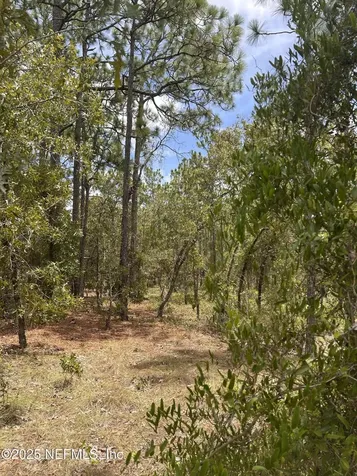 Lot 20 SW Buena Vista Road Dunnellon FL 34431
