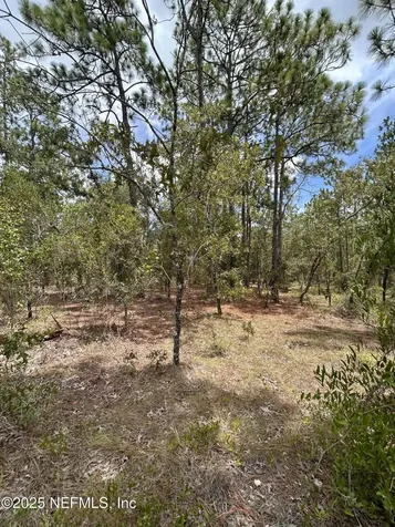 Lot 20 SW Buena Vista Road Dunnellon FL 34431