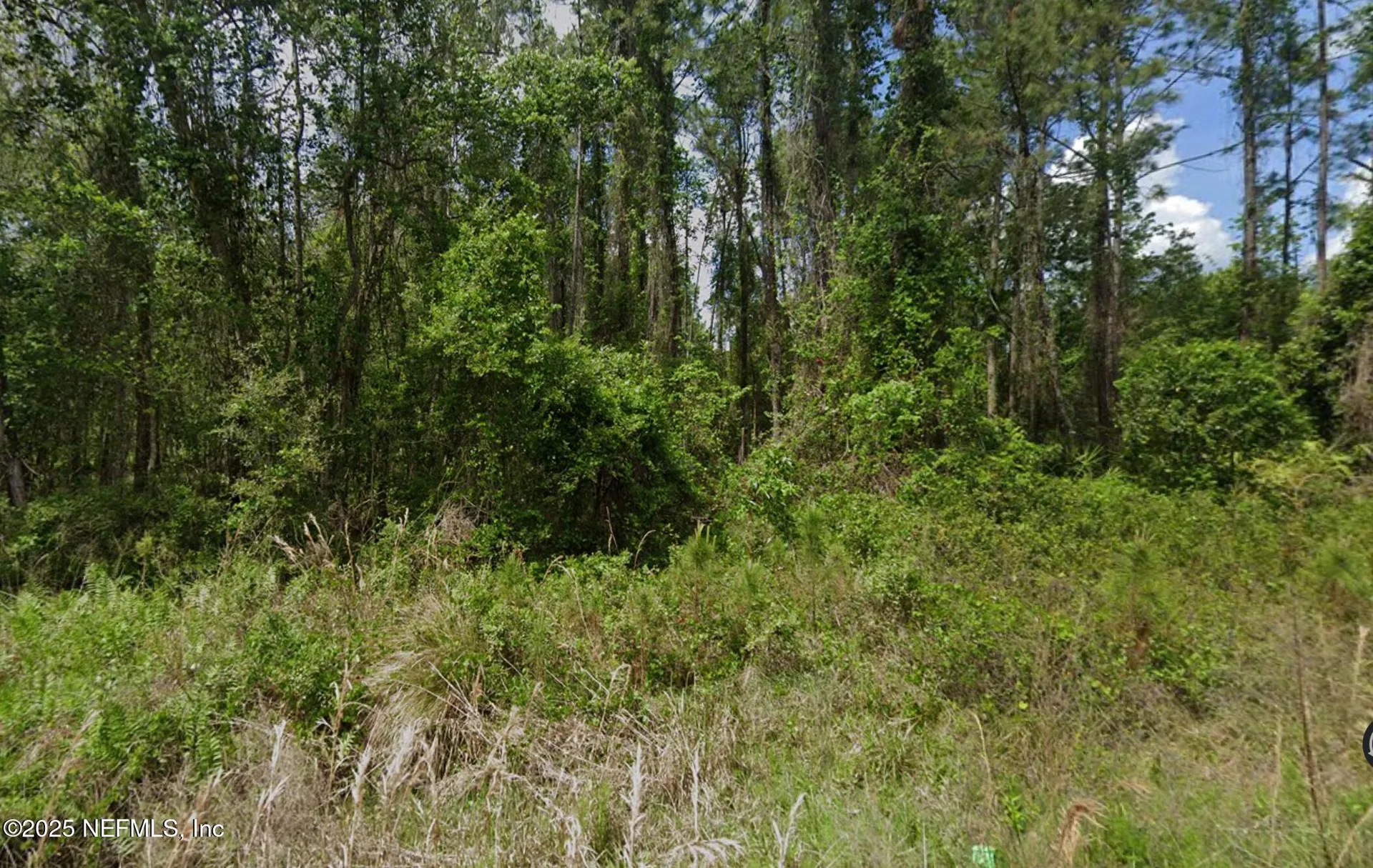 140 Edgemere Drive Georgetown FL 32139