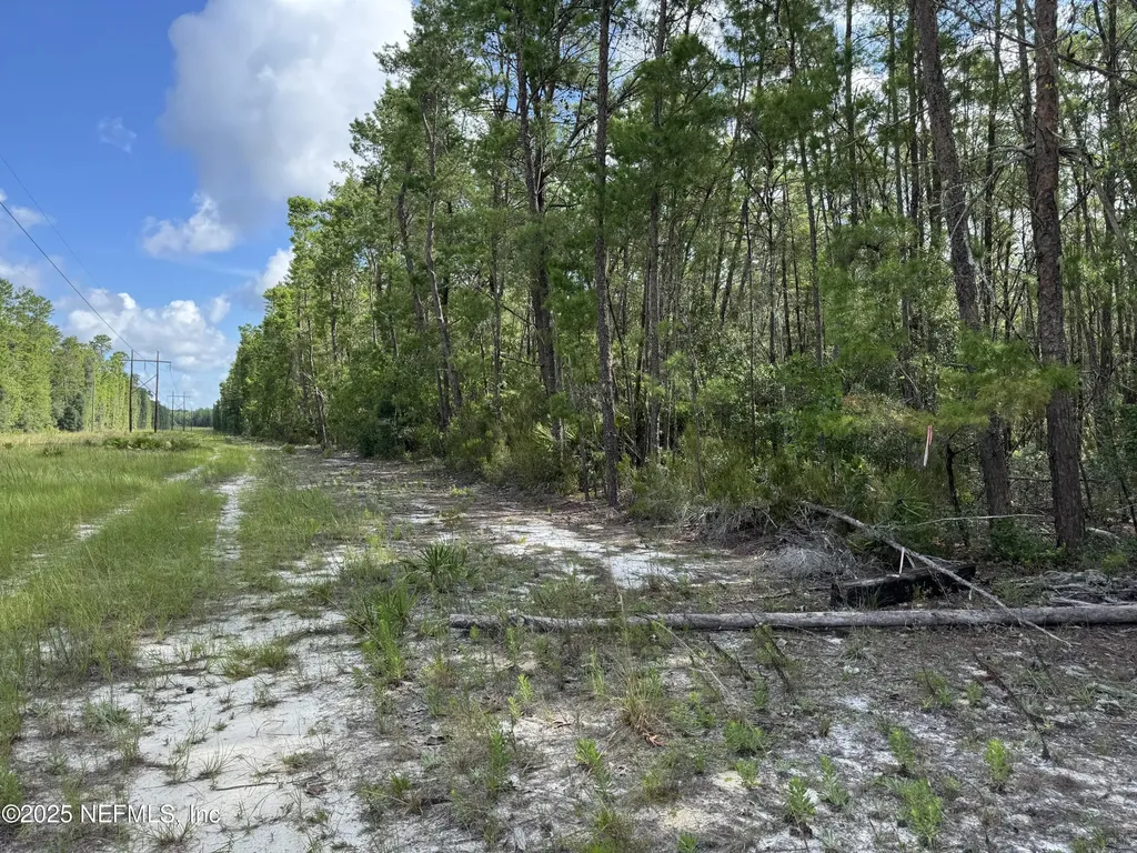 0 Hankley Lake Trail Hawthorne FL 32640