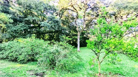 3822 County Road 220 Middleburg FL 32068