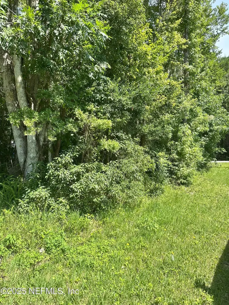 222 W Holtz Street Hastings FL 32145