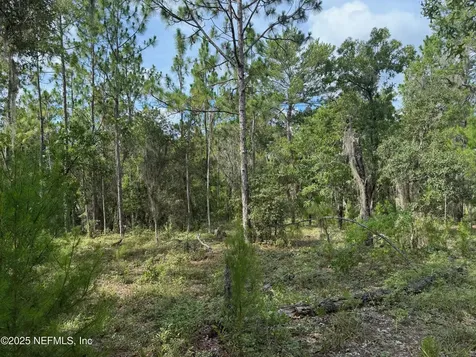 151 Long Branch Trail Interlachen FL 32148