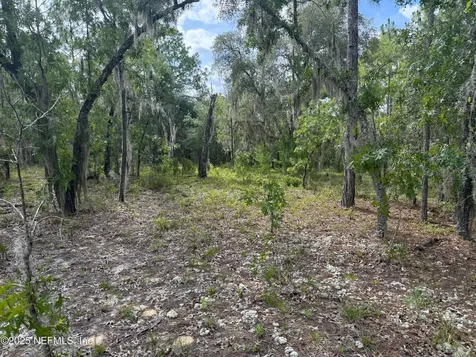151 Long Branch Trail Interlachen FL 32148