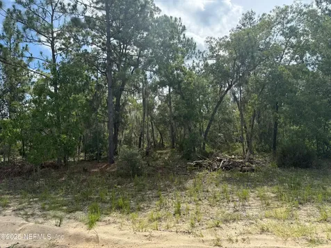 151 Long Branch Trail Interlachen FL 32148
