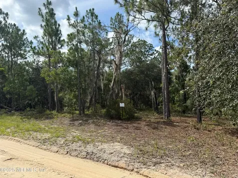151 Long Branch Trail Interlachen FL 32148