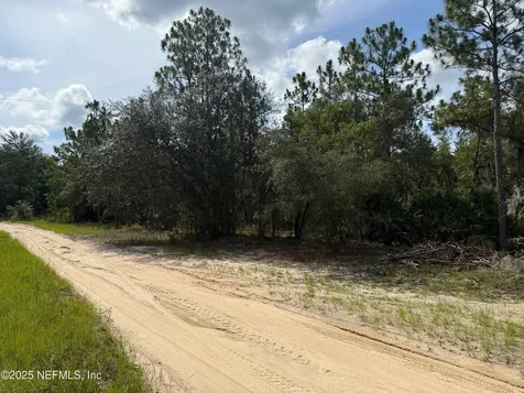 151 Long Branch Trail Interlachen FL 32148