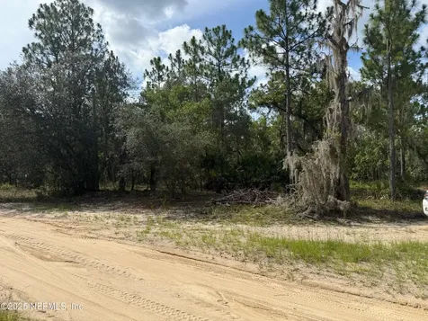 151 Long Branch Trail Interlachen FL 32148