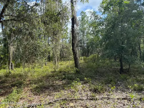 151 Long Branch Trail Interlachen FL 32148